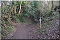 West Somerset : Footpath & Sign