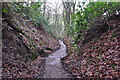 West Somerset : Downhill Footpath