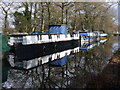 Basingstoke Canal, Woodham