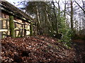 Byway beside "The Kiln" near Selborne