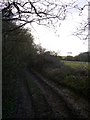 Muddy byway known as Holtham Lane