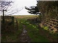 Footpath at Goleigh Farm