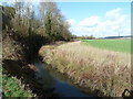 Ladywell Stream alongside Coombes Road