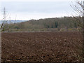TQ7259 : Ploughed field outside Eccles by Stephen Craven