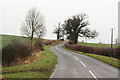 SK6971 : Bevercotes lane by Richard Croft
