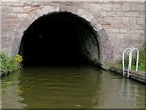 SO9969 : Tardebigge Tunnel, Worcestershire by Roger  D Kidd