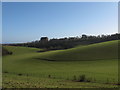 Cow Bottom curving around towards Lancing College Chapel