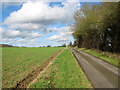 TG0225 : Lane from Foulsham to Wood Norton by Evelyn Simak