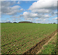 TG0225 : Cultivated field by Littlemoor Farm by Evelyn Simak
