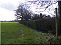 Footpath to Great Glemham Road