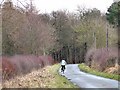 NZ0973 : Cyclist on the Reivers Cycle Route by Oliver Dixon