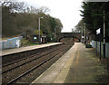 Delamere Station, looking east