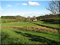 Pasture east of St Mary