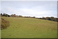 Downland by the North Downs Way