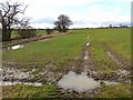 Field near East Coldcoats