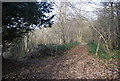 Footpath off the North Downs Way, Civiley Wood