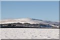 SX6659 : Snow clad Ugborough Beacon by Adrian Platt