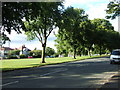 Houses overlooking Horfield Common