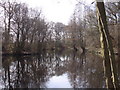 TQ5830 : Pond near Mark Cross by Sally