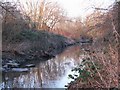 The Pool River east of Datchet Road, SE6 (3)