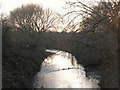 The Pool River south of the bridge east of Winsford Road, SE6