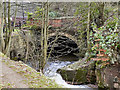 River Medlock at Park Bridge