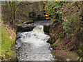 River Medlock, Weir at Park Bridge