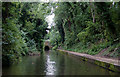 Approaching Wast Hills Tunnel near Hawkesley, Birmingham