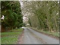 A country lane at Smallwood Green