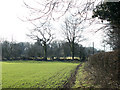 2011 : Wheatfield south of Chelynch Road