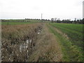 Drainage channel near Beacon Tree Farm