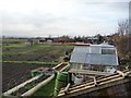 Allotments alongside Brier Lane