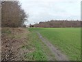 Footpath along field edge