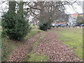 The Kyd Brook - Main Branch, Farnborough Recreation Ground (4)