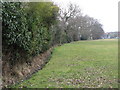 The Kyd Brook - Main Branch, Farnborough Recreation Ground (7)