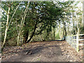 Footpath towards Coldharbour