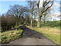 Access Lane to Fence End and Merlinwood