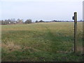 Footpath on All Saints Common