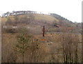 Guardian of the Valleys viewed from Victoria Road, Six Bells