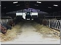 Cattle shed at Woodcote Farm