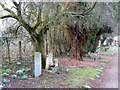 Western edge of Sapperton Cemetery