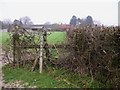 Defunct stile on footpath to Hayland Farm