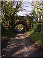 Disused railway bridge at West Dean