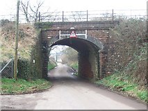SX9794 : Langaton Lane and railway bridge by David Smith