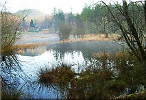 NH4857 : Lochan in the woods by John MacKenzie