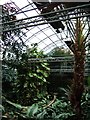 Tropical World - the South American House