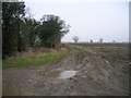 Muddy footpath near Drax