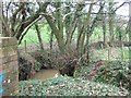 Stream at Holbrook Bridge