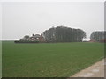 View towards Angus Farm