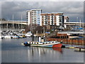 Boat on the River Ely, Cardiff